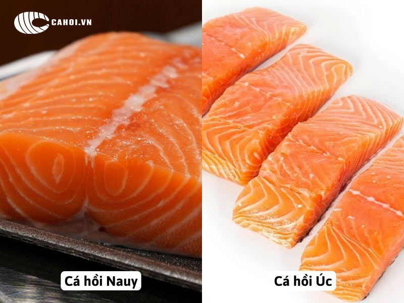 Hương vị thịt của cá hồi Úc và cá hồi Nauy