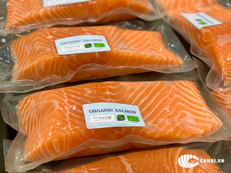 Mua cá hồi Nauy giá tốt, uy tín ở đâu