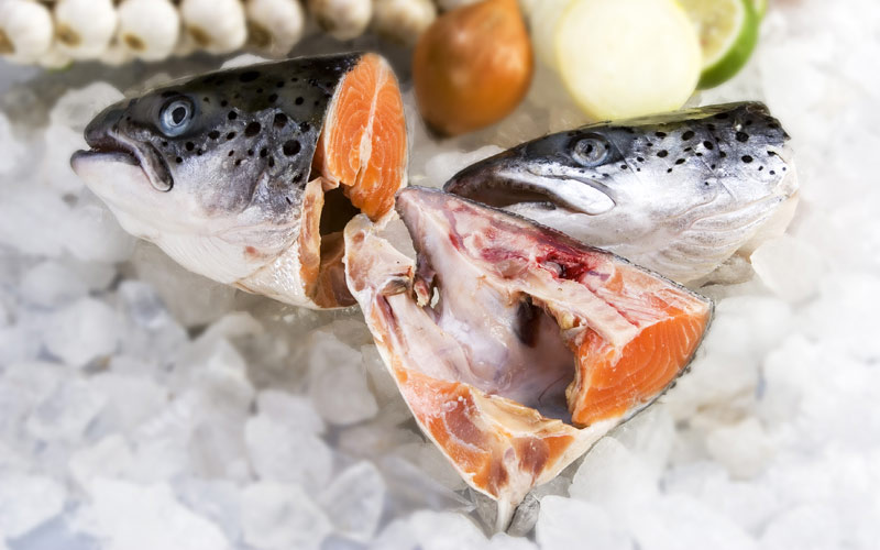 đầu cá hồi phòng ngừa và hỗ trợ điều trị viêm khớp