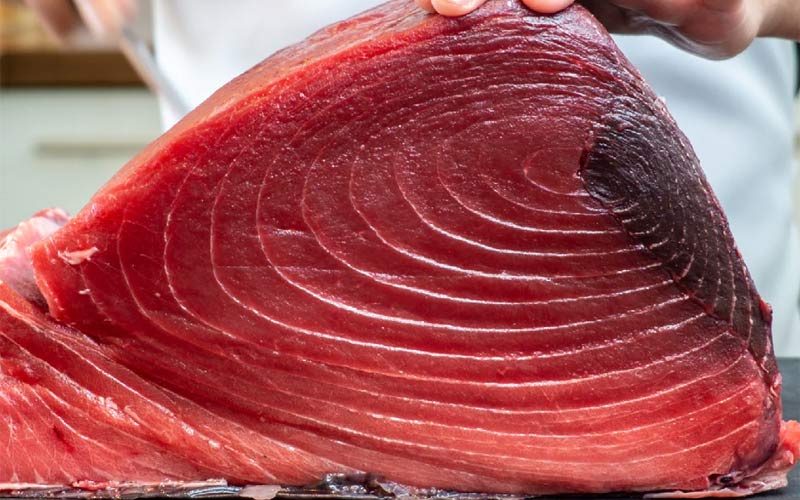 Cá ngừ giàu protein hơn cá hồi