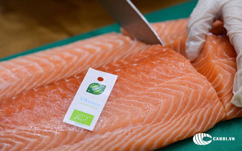 Sử dụng cá hồi Organic