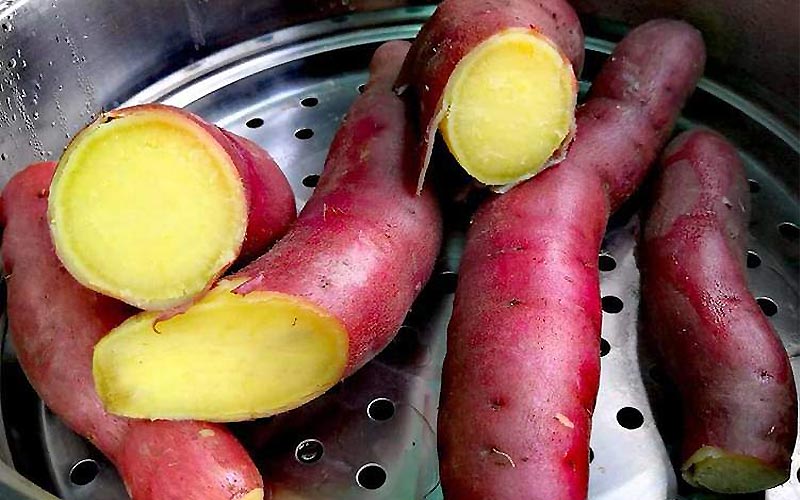 Hấp khoai lang Hấp khoai lang